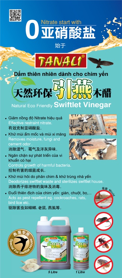 Swiftlet Vinegar Vietnam
